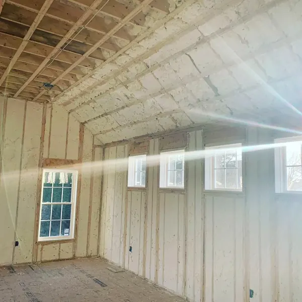 Spray foam on walls and ceiling
